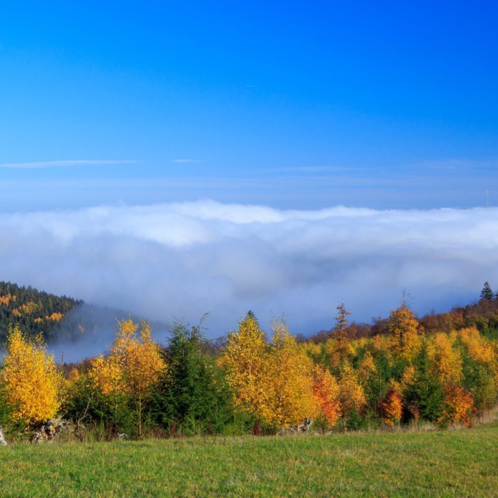 Rothaargebirge im Herbst