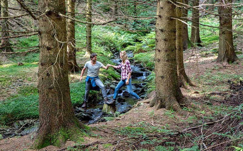 Paar wandert im Wald und überquert einen kleinen Bachlauf